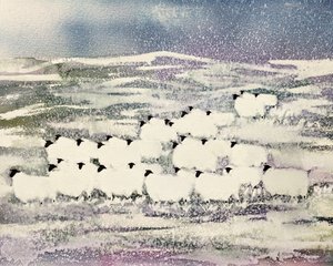 Sheep in Winter